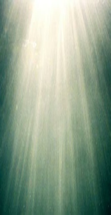 Reiki courses